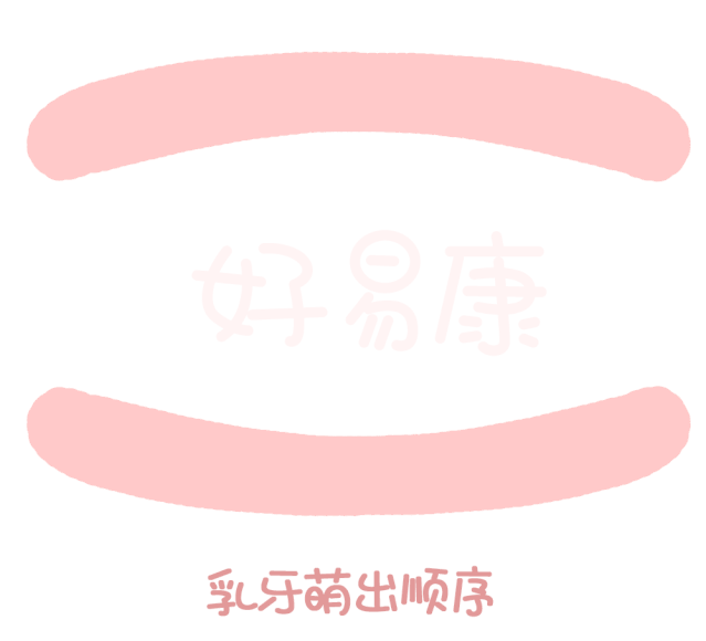 尚佳專業(yè)月嫂丨關(guān)于寶寶長牙問題，都在這里！